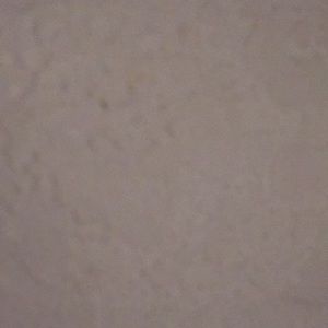 Meet your Posher, Juan